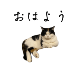735389858