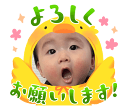 735403725