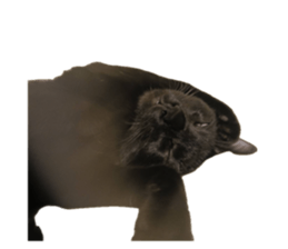 735415453
