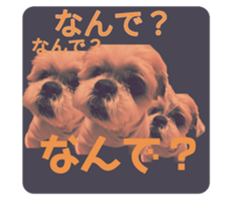 735422767