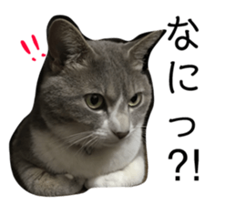 73542860