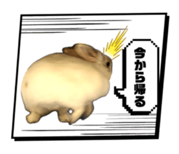735436706