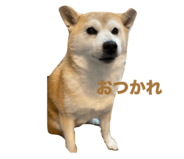 735437359
