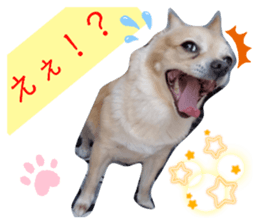 735442519