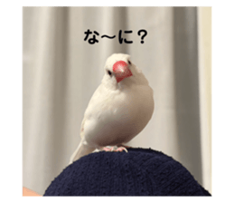 735446705