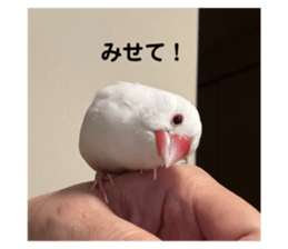 735446712