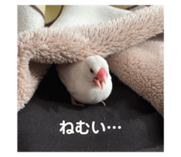 735446713