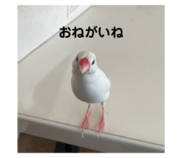 735446720