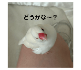 735446722