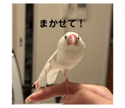 735446723
