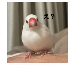 735446727