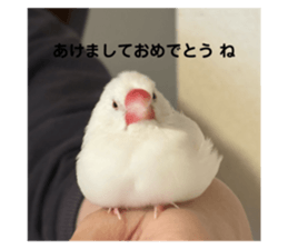 735446731
