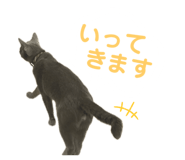735453906