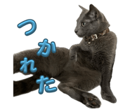 735453908