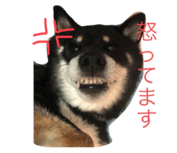 735466153
