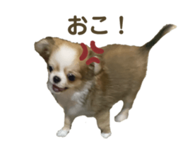 735482320