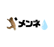 735509752