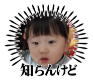 735510568