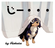 735511673