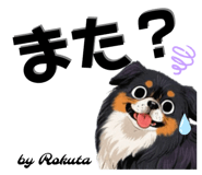 735511688