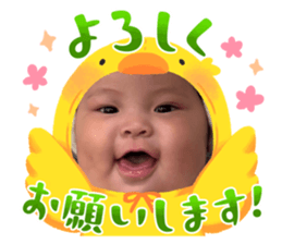 735517339
