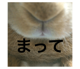 735531778