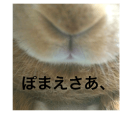 735531779