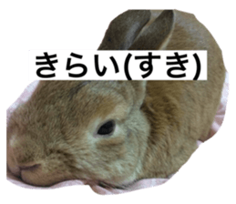 735531783