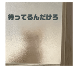 735532243