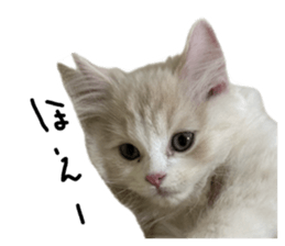 735537830