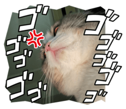 735537919