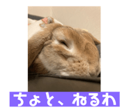 735538582