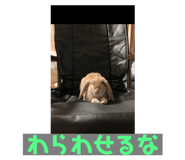 735538587