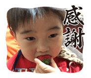 735538798