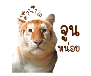 เอวา & ลูน่า - คนสวยขา รูปที่ 1