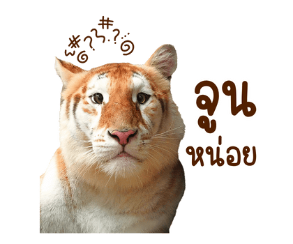 ลายที่ 1