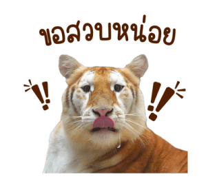 ลายที่ 3