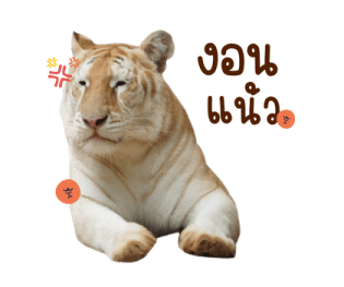 เอวา & ลูน่า - คนสวยขา รูปที่ 6