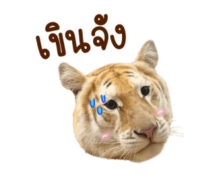 เอวา & ลูน่า - คนสวยขา รูปที่ 7