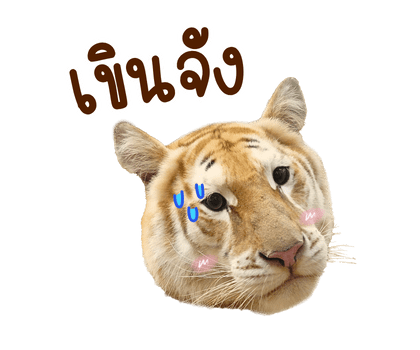 ลายที่ 7