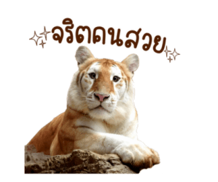 เอวา & ลูน่า - คนสวยขา รูปที่ 8