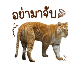 เอวา & ลูน่า - คนสวยขา รูปที่ 9