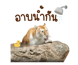 เอวา & ลูน่า - คนสวยขา รูปที่ 10