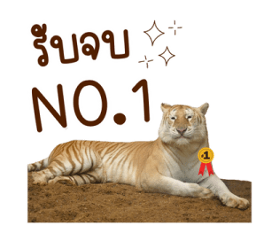 ลายที่ 21