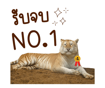 ลายที่ 11