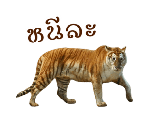 ลายที่ 29