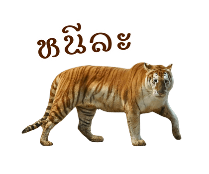 ลายที่ 15