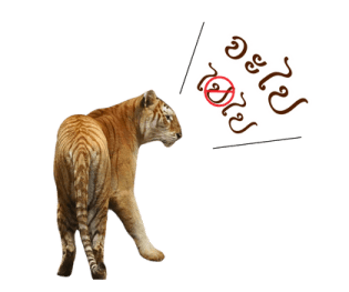 ลายที่ 33