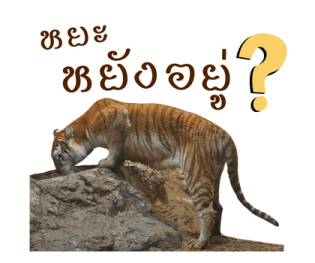 ลายที่ 39