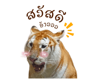 ลายที่ 43